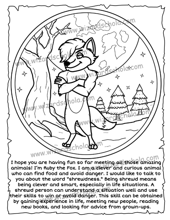 wizard schola worpress elements(62)