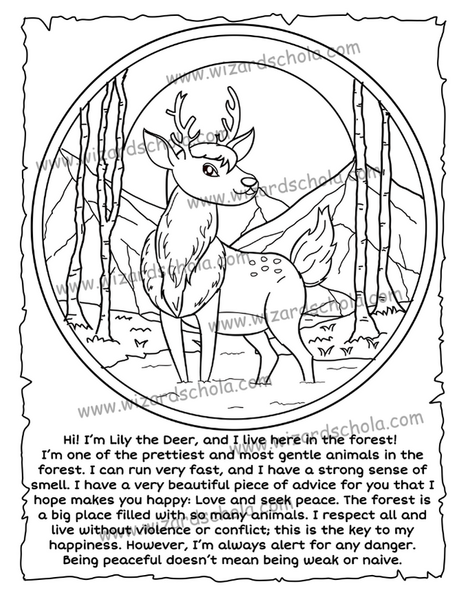 wizard schola worpress elements(64)