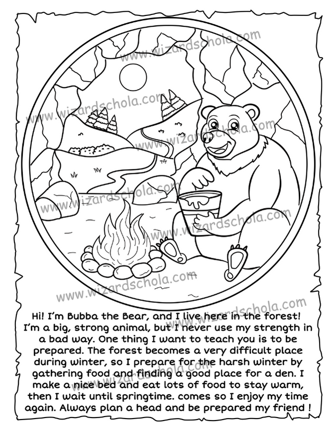 wizard schola worpress elements(65)