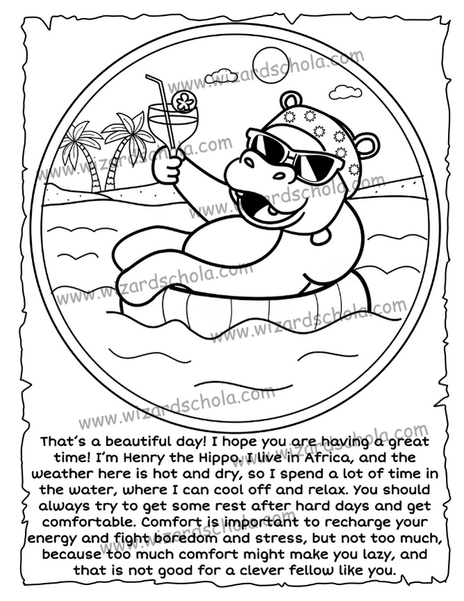 wizard schola worpress elements(66)