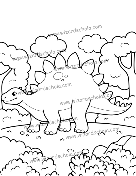 wizard schola worpress elements(69)