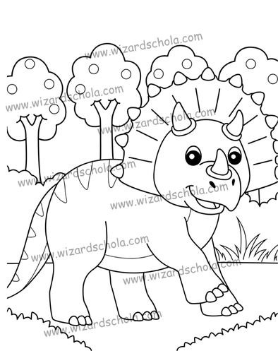 wizard schola worpress elements(71)