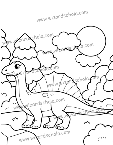 wizard schola worpress elements(72)