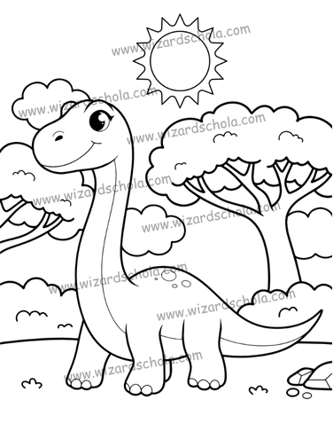 wizard schola worpress elements(73)