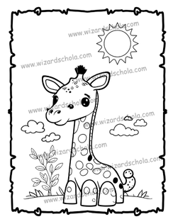 wizard schola worpress elements(76)