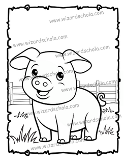 wizard schola worpress elements(77)