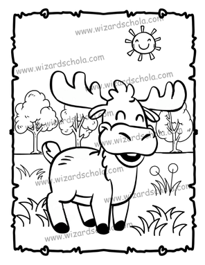 wizard schola worpress elements(79)