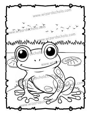 wizard schola worpress elements(80)