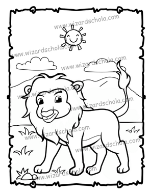 wizard schola worpress elements(81)